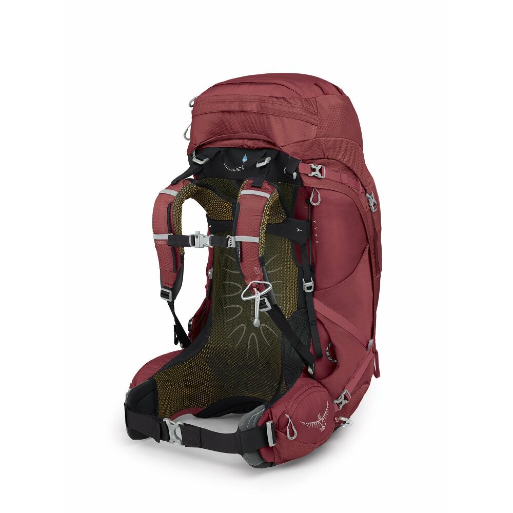 Aura AG 65 Berry 2
