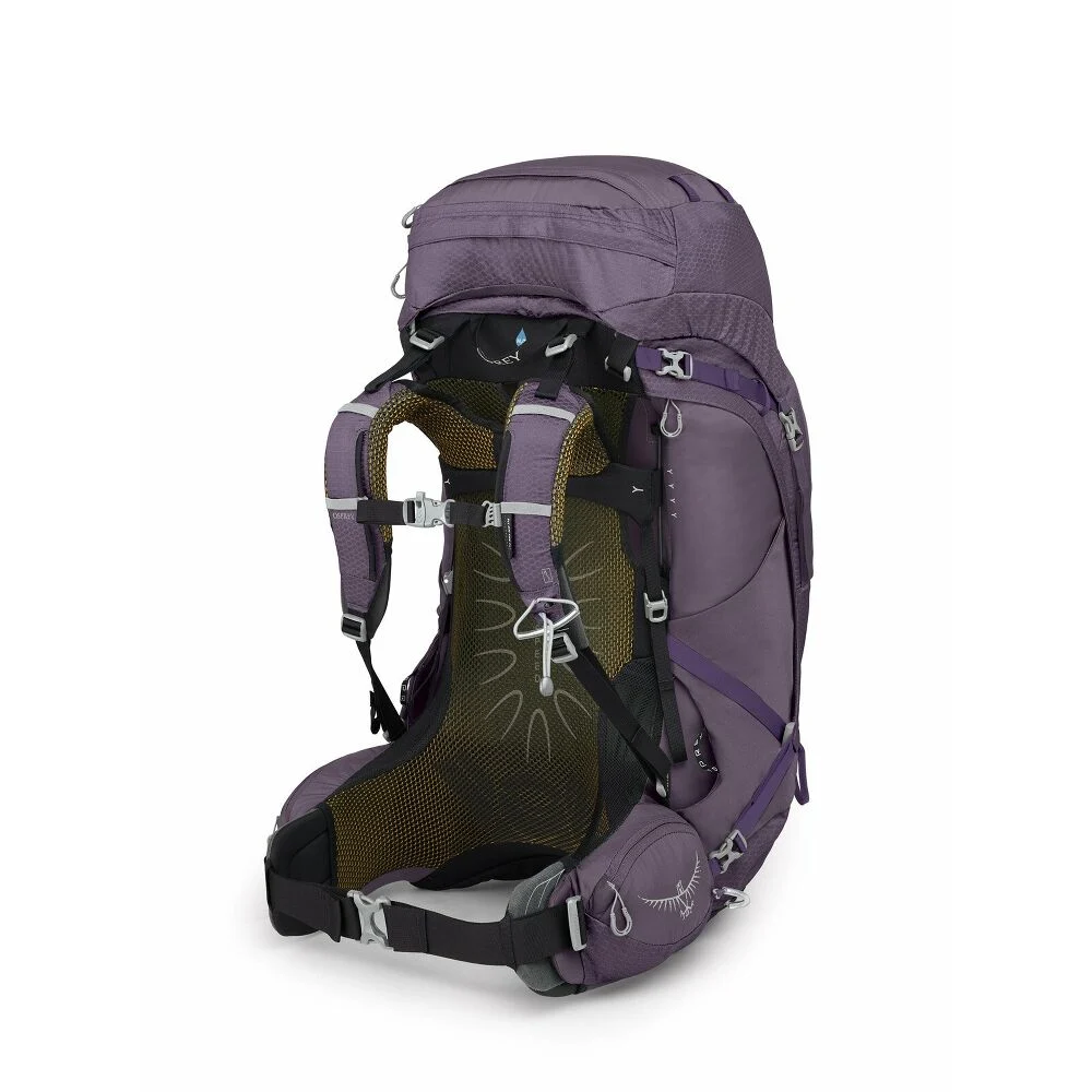 Aura AG 65 Purple 2