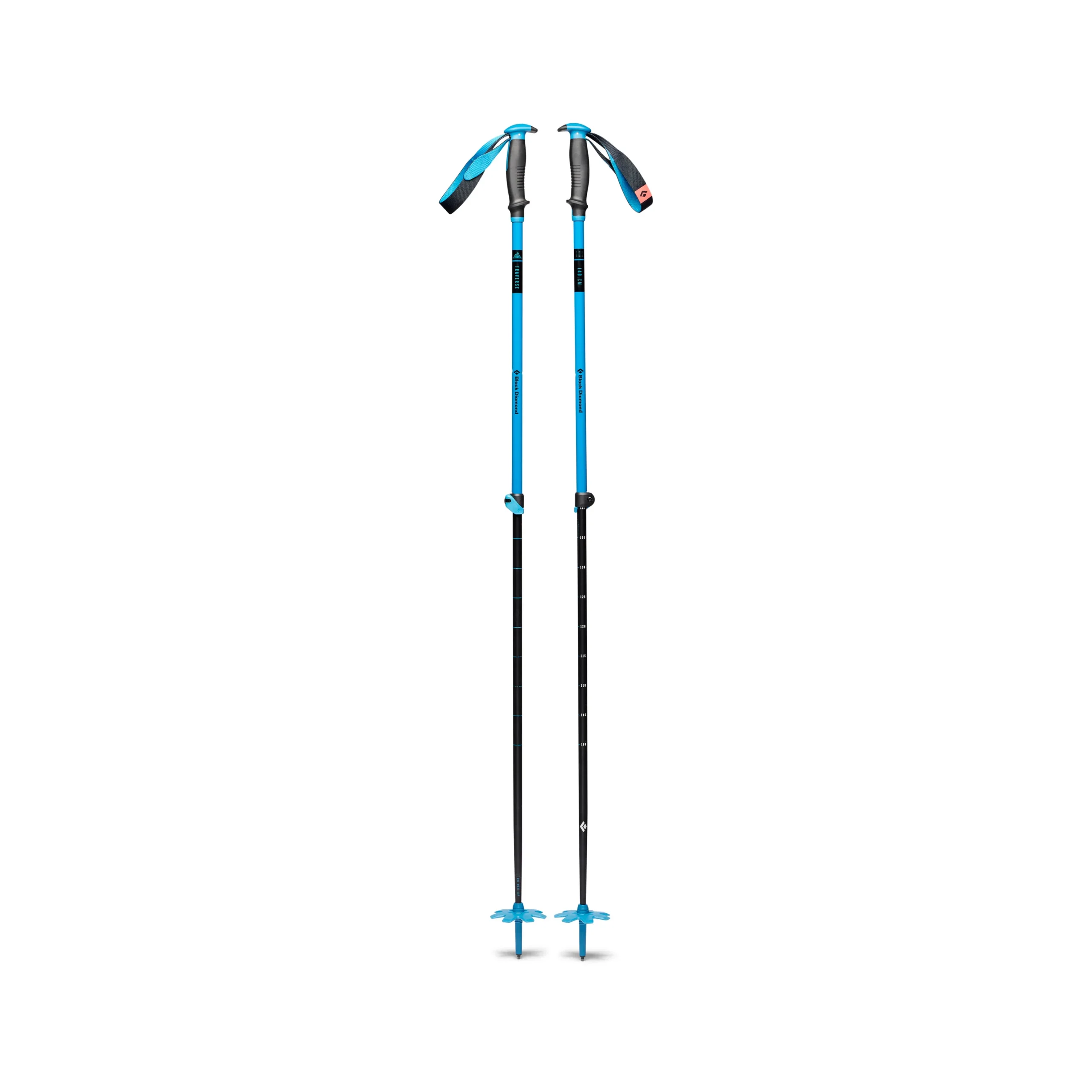 Traverse Ski Poles 1