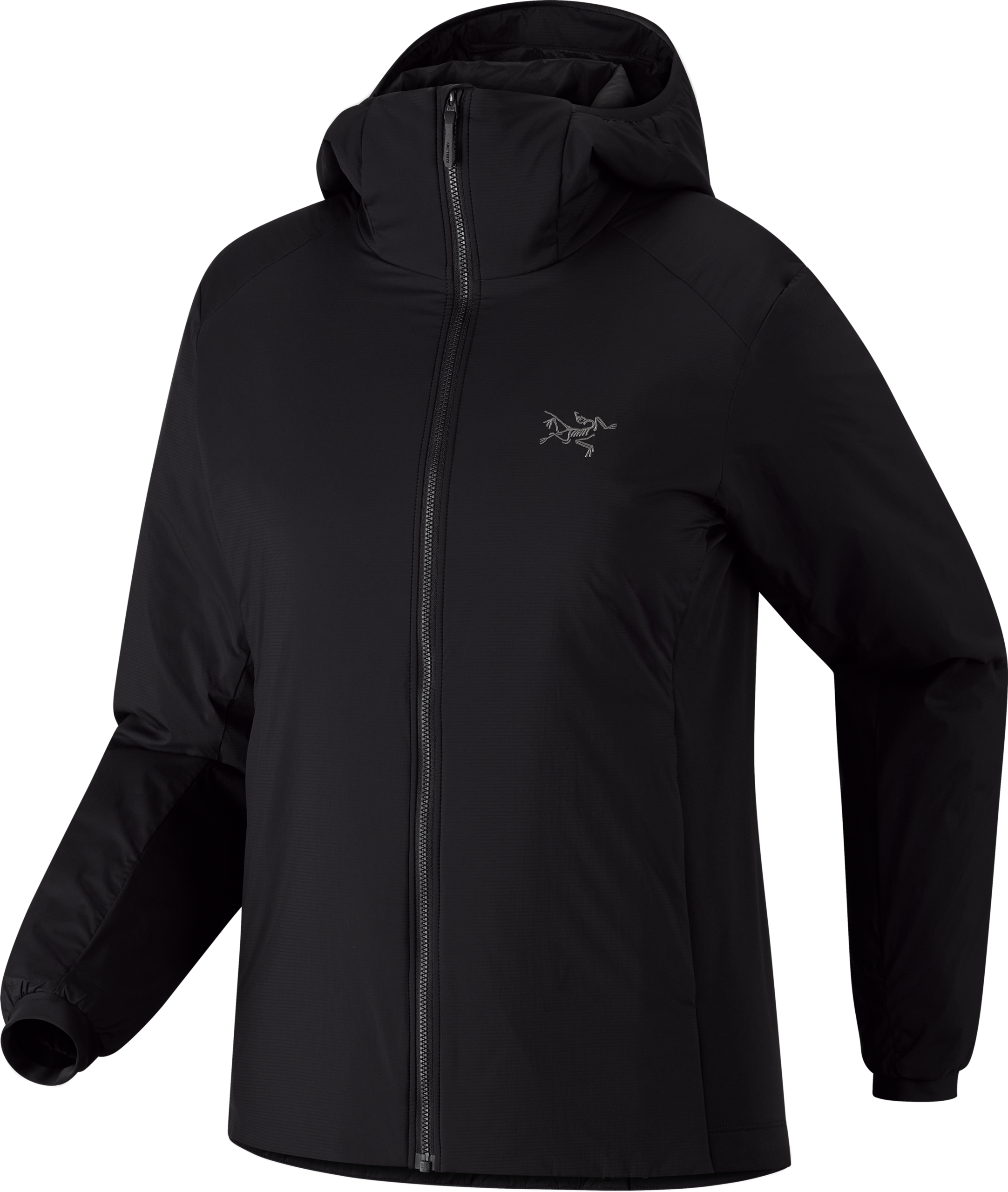 F26_X000009452_002291_Atom Hoody_Black_Women_S_Transp