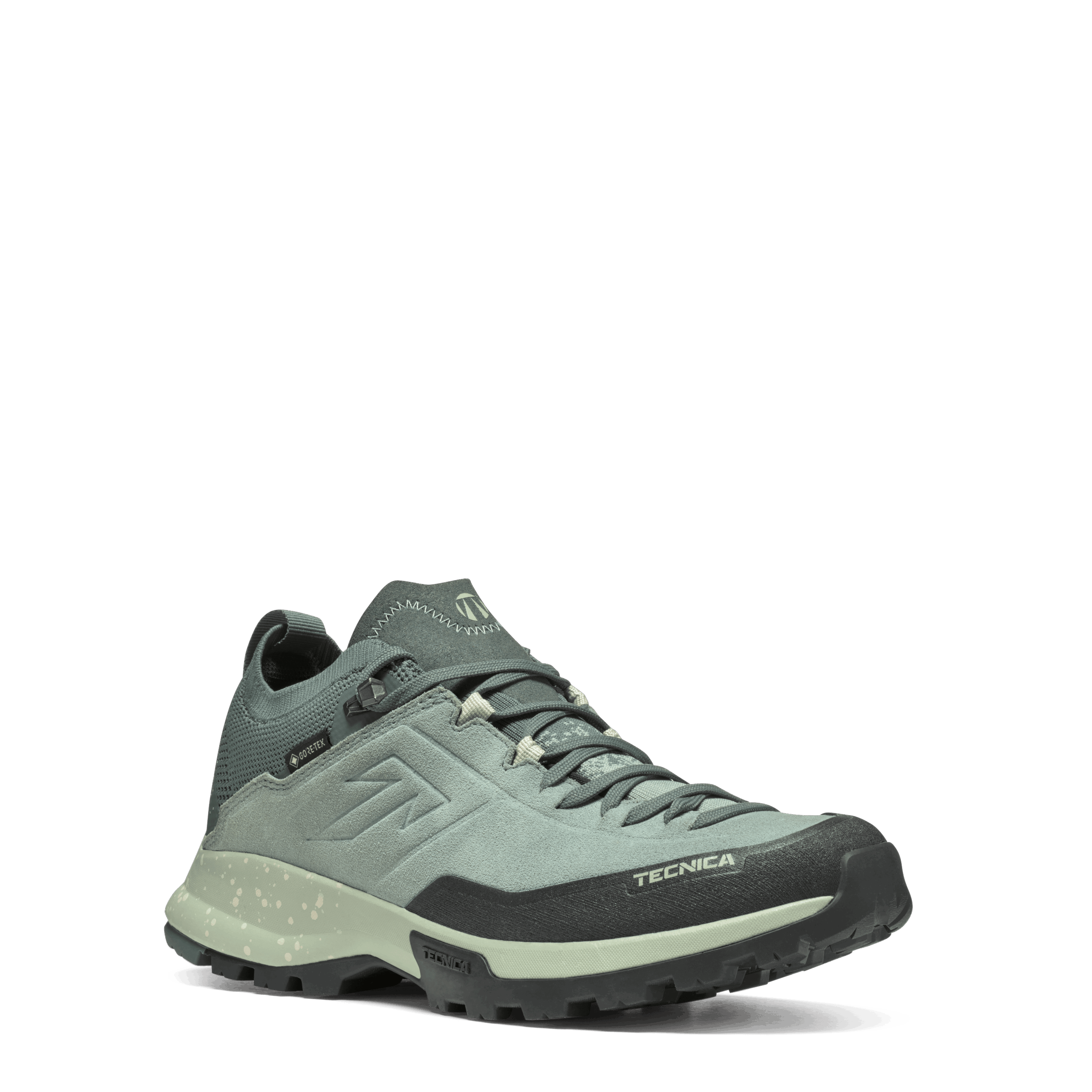 Ws Forge Hike Gtx 1