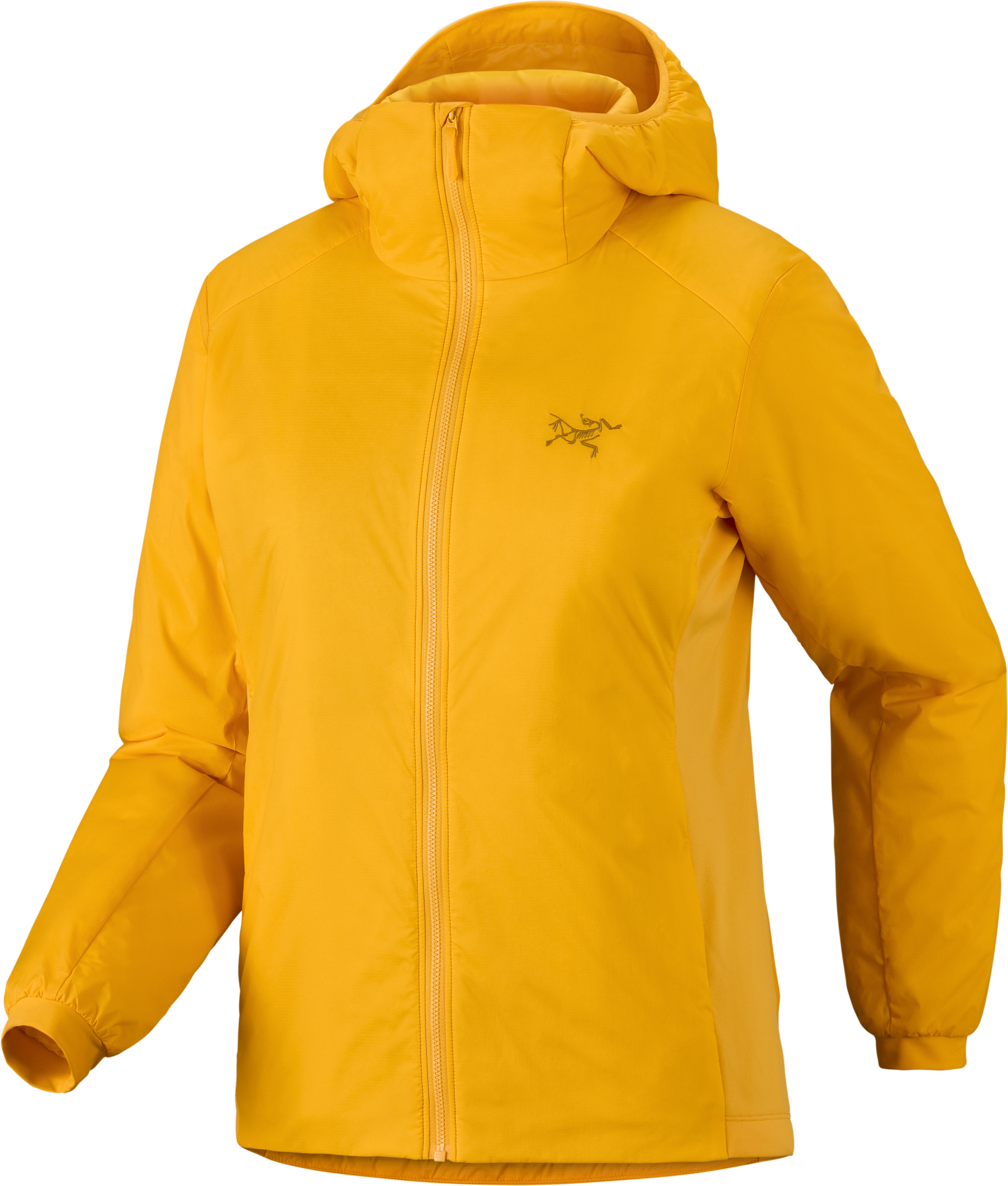 F26_X000009452_023211_Atom Hoody_Larch_Women_S_Transp