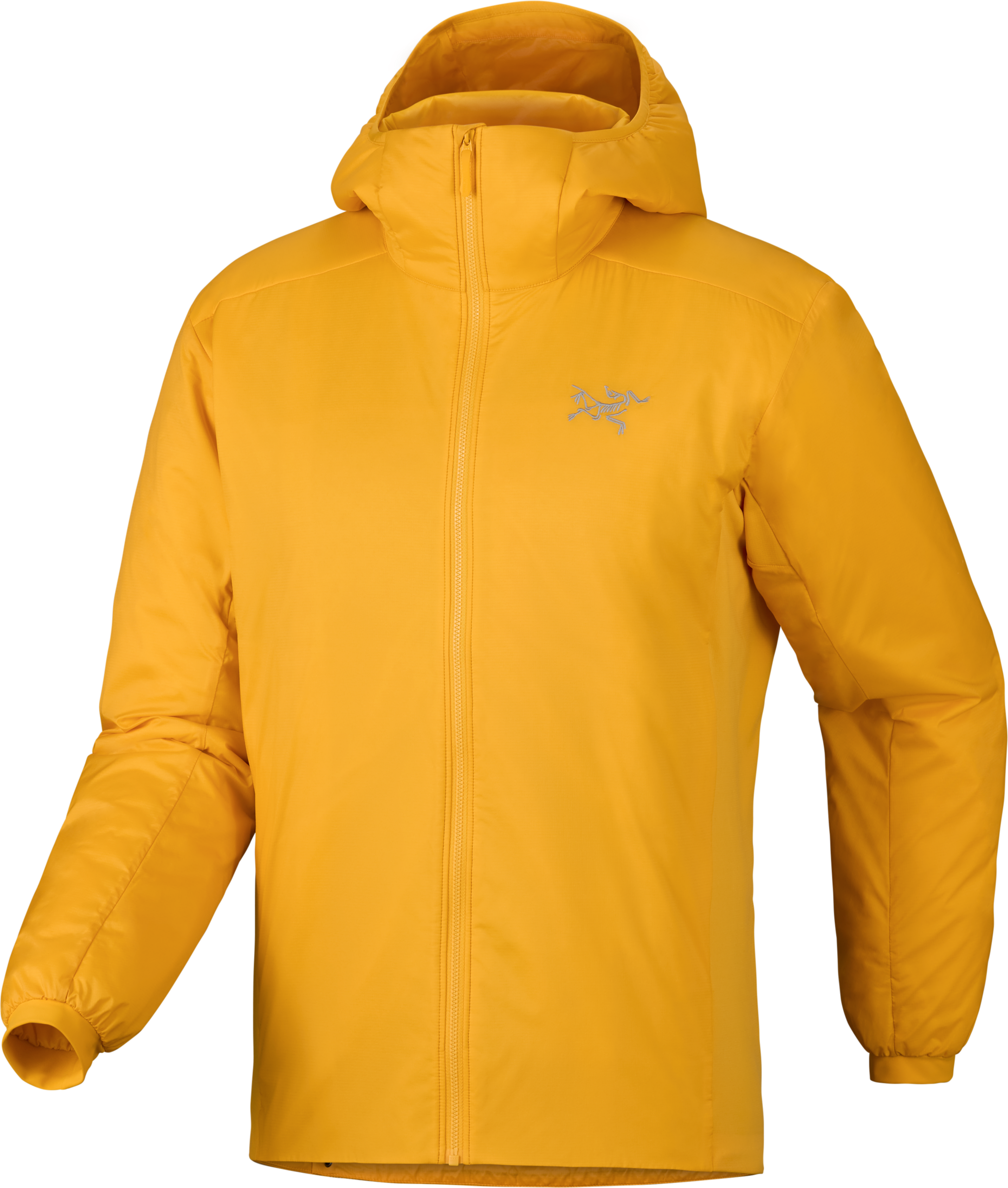F26_X000009556_023211_Atom Hoody_Larch_Men_M_Transp